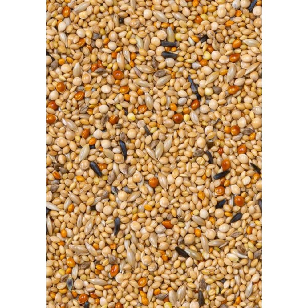 28424 DELİ NATURE PREMİUM FOREİGN FİNCHES FİNÇ YEMİ 1100GR 10LU