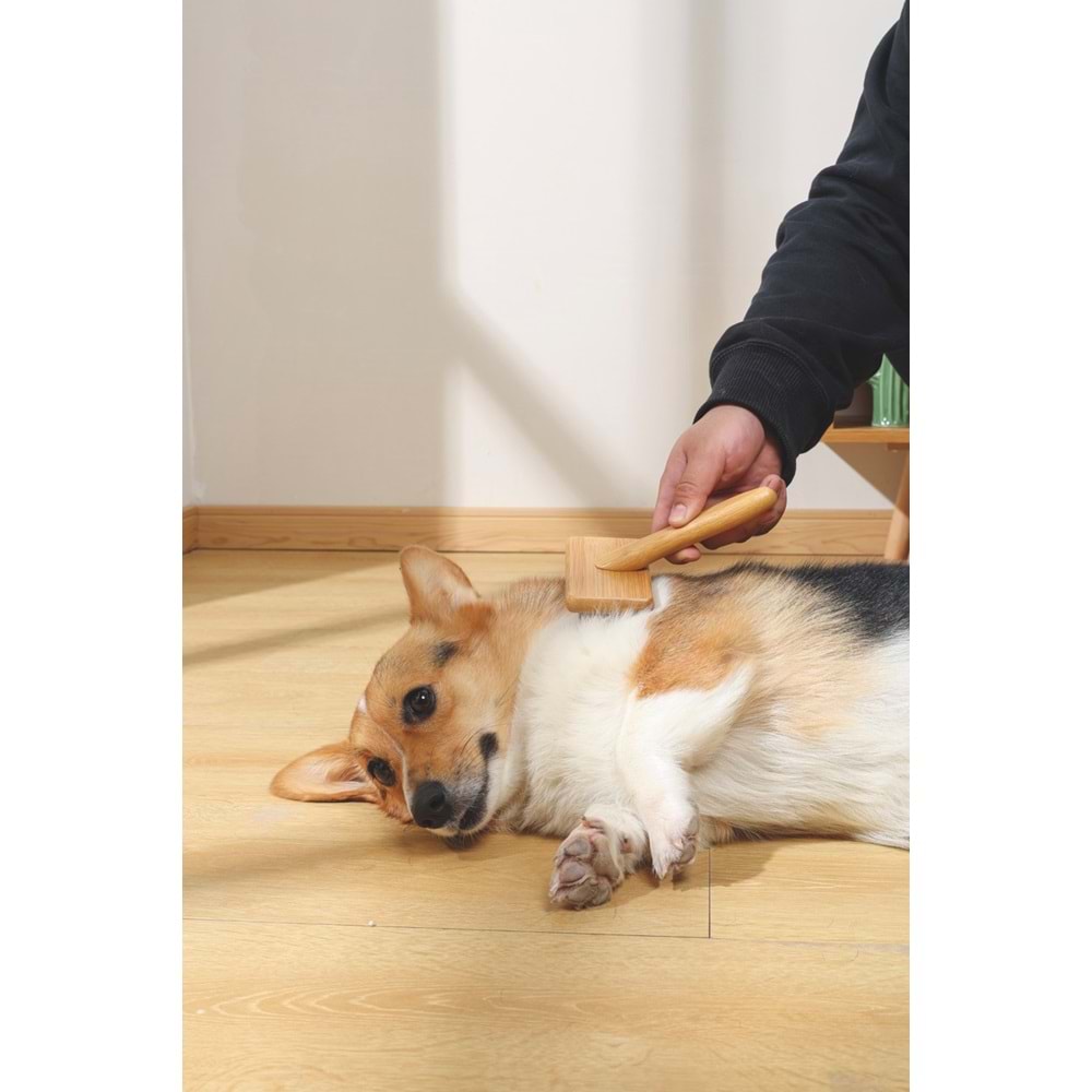 10119299 M-PETS BAMBOO İNCE TELLİ FIRÇA (M)