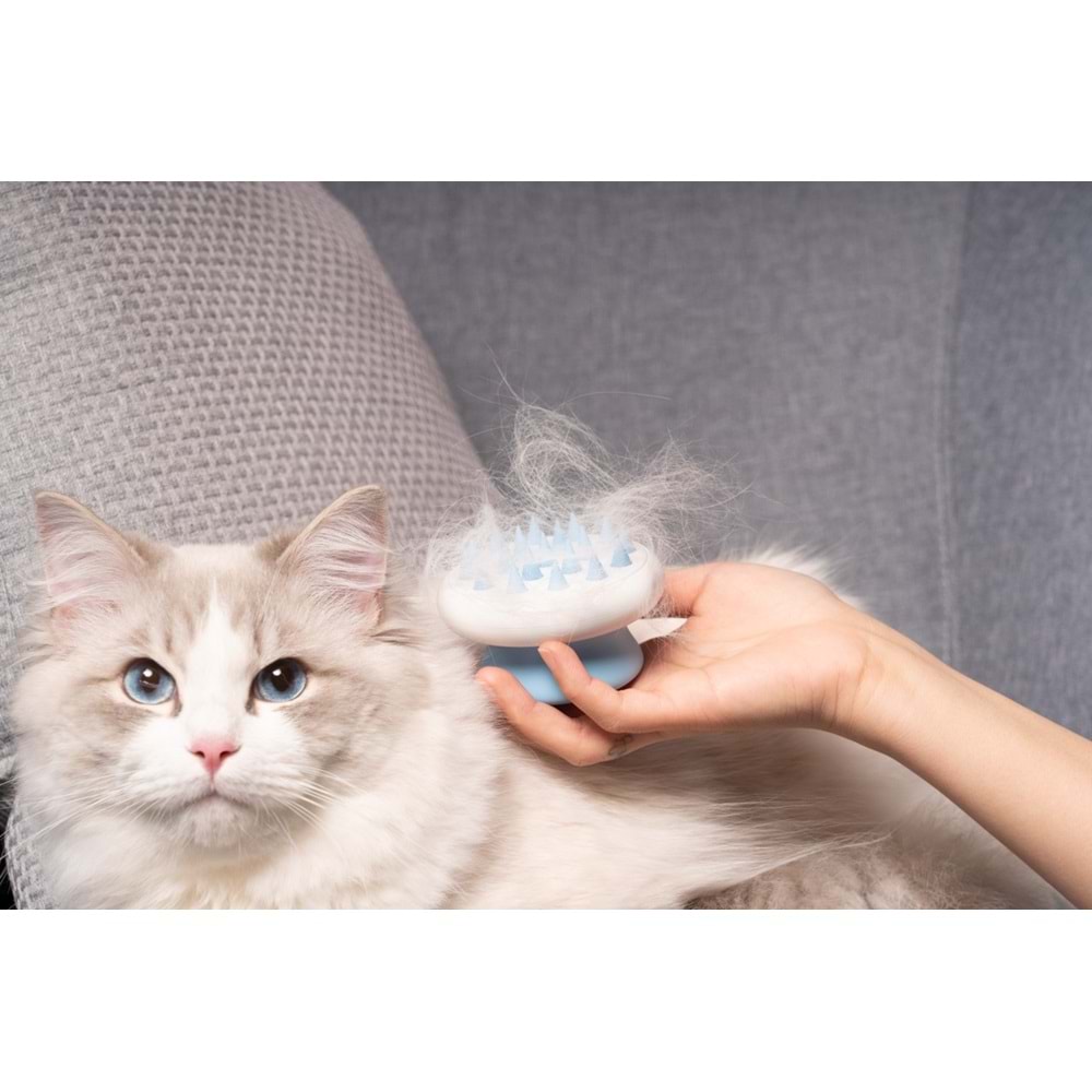 10121899 M-PETS TENDER DİKEN UCLU MASAJ FIRÇASI BLUE