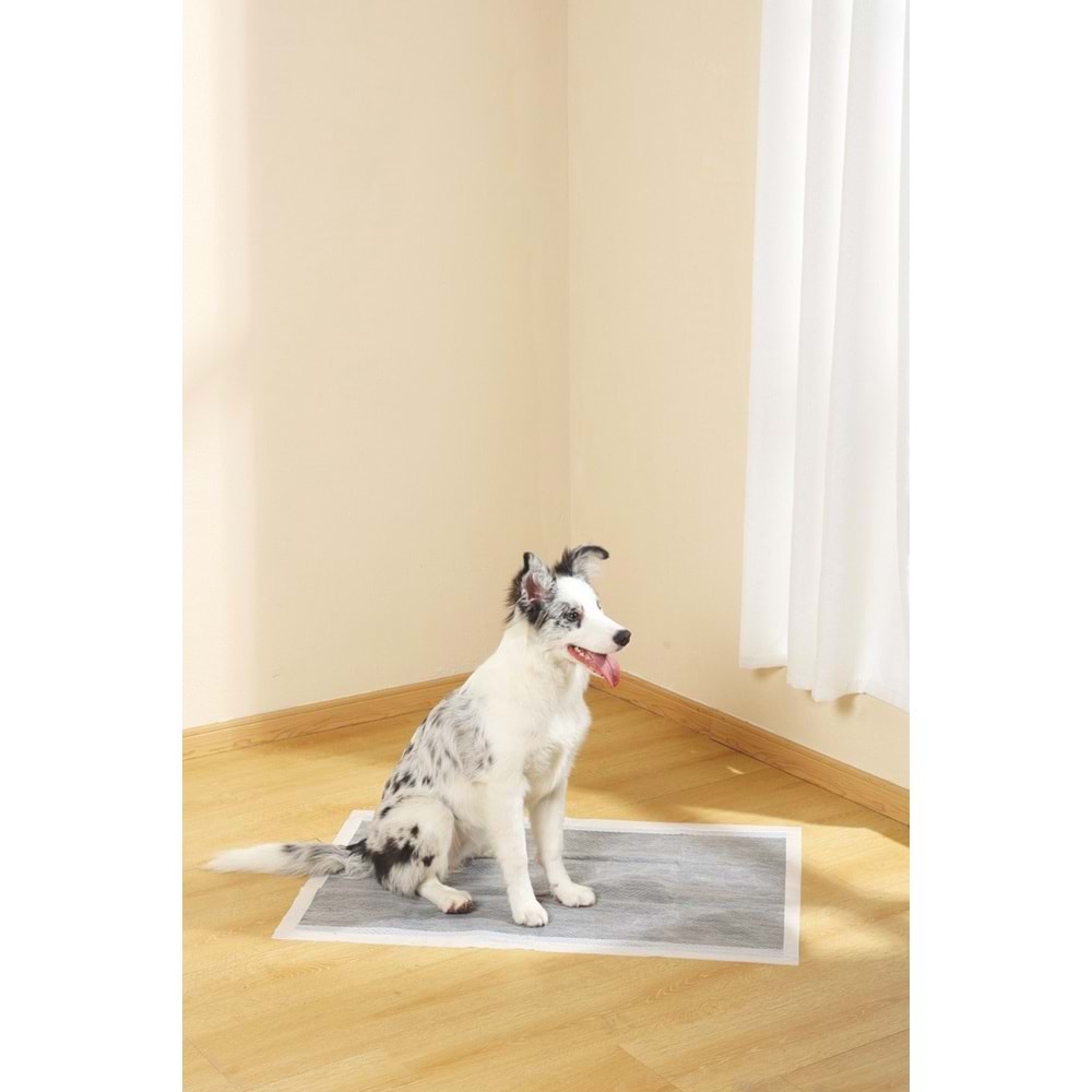 10168701 M-PETS ESSENTIAL CARBONLU YAPIŞKANLI ÇİŞ PEDİ 60X90CM 10LU
