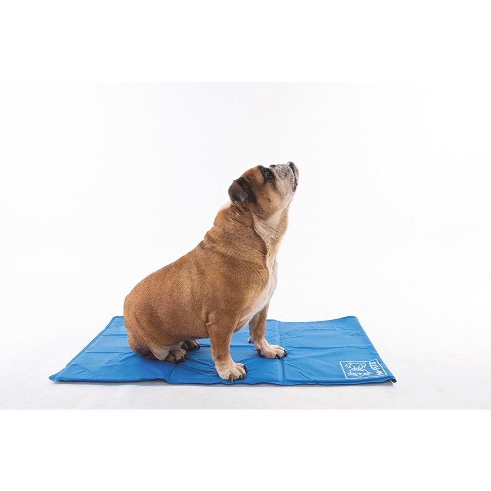 10316017 M-PETS FROZEN KÖPEK SERİNLETİCİ MİNDER (M) 65X50CM