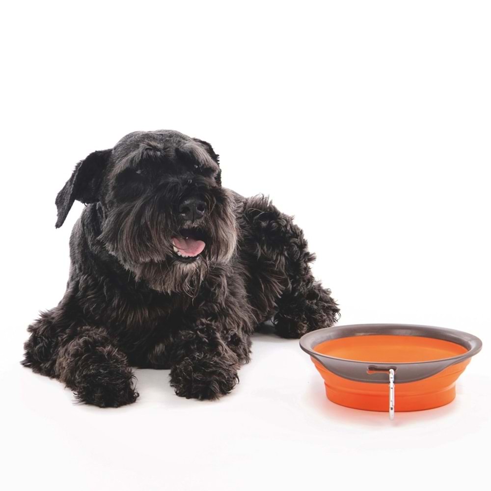 10552099 M-PETS ON THE ROAD KATLANABİLEN MAMA KABI (S) 420ML