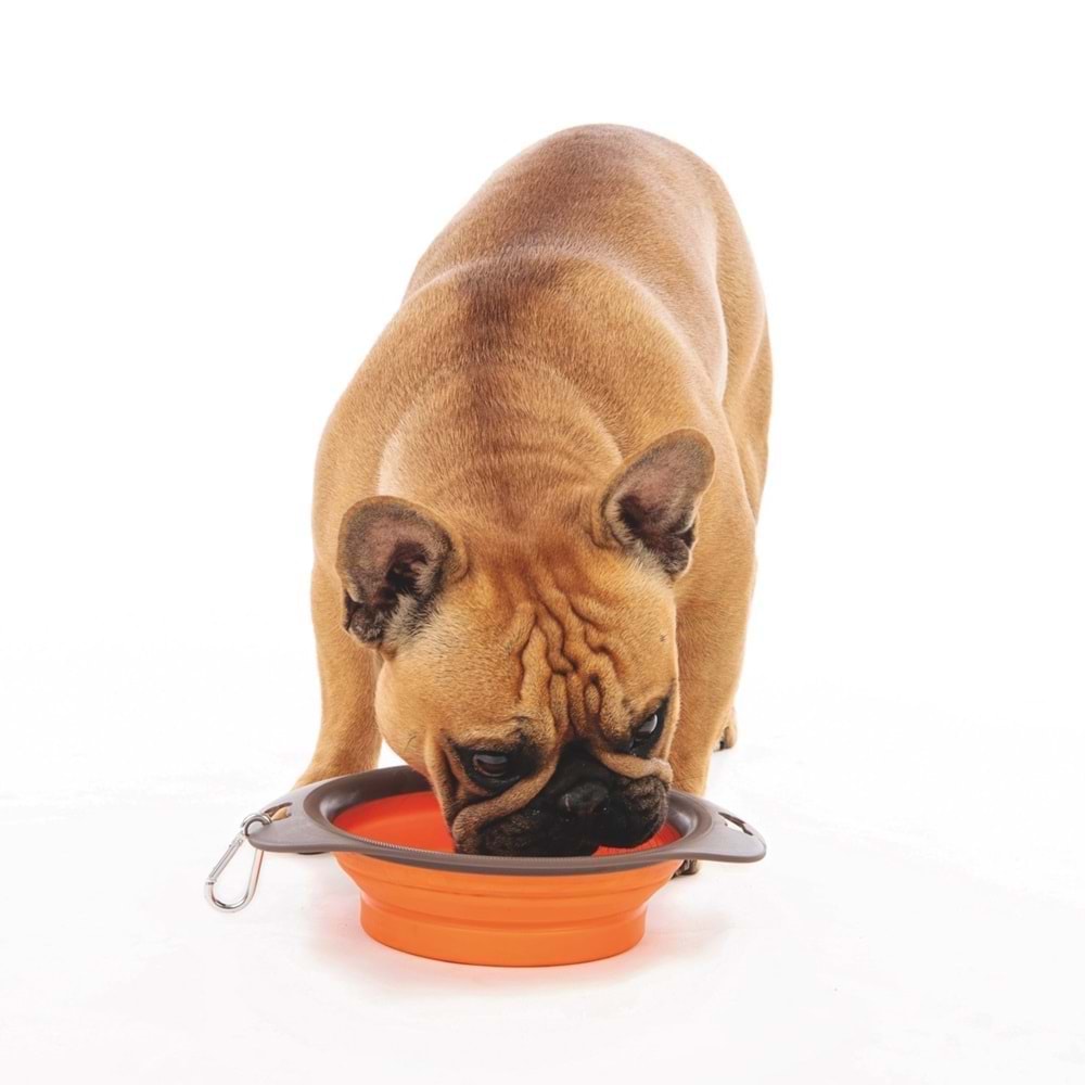 10552199 M-PETS ON THE ROAD KATLANABİLEN MAMA KABI (M) 750ML