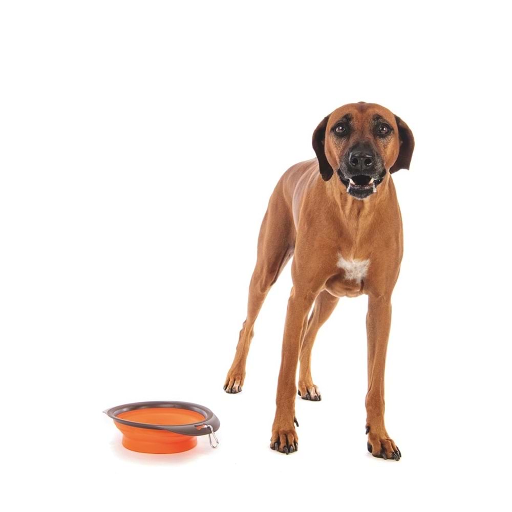 10552299 M-PETS ON THE ROAD KATLANABİLEN MAMA KABI (L) 1230ML