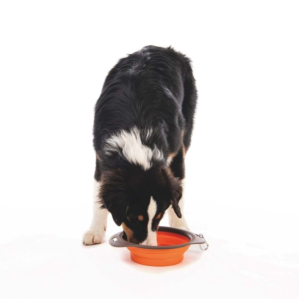 10552299 M-PETS ON THE ROAD KATLANABİLEN MAMA KABI (L) 1230ML