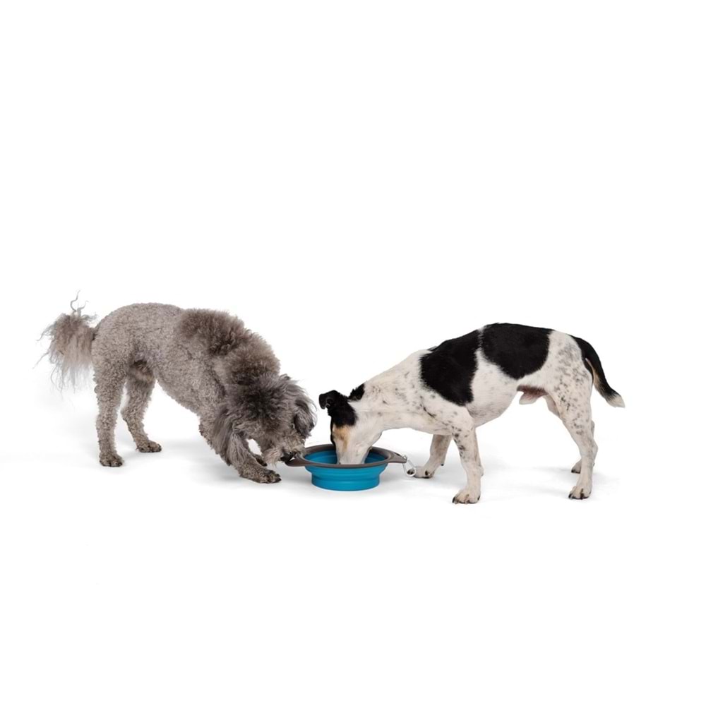 10552399 M-PETS ON THE ROAD KATLANABİLEN MAMA KABI (S) 420ML TURKUAZ/BROWN