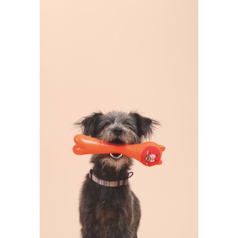 10638105 M-PETS ROB ÖDÜL HAZNELİ KAUÇUK KÖPEK OYUNCAĞI ORANGE