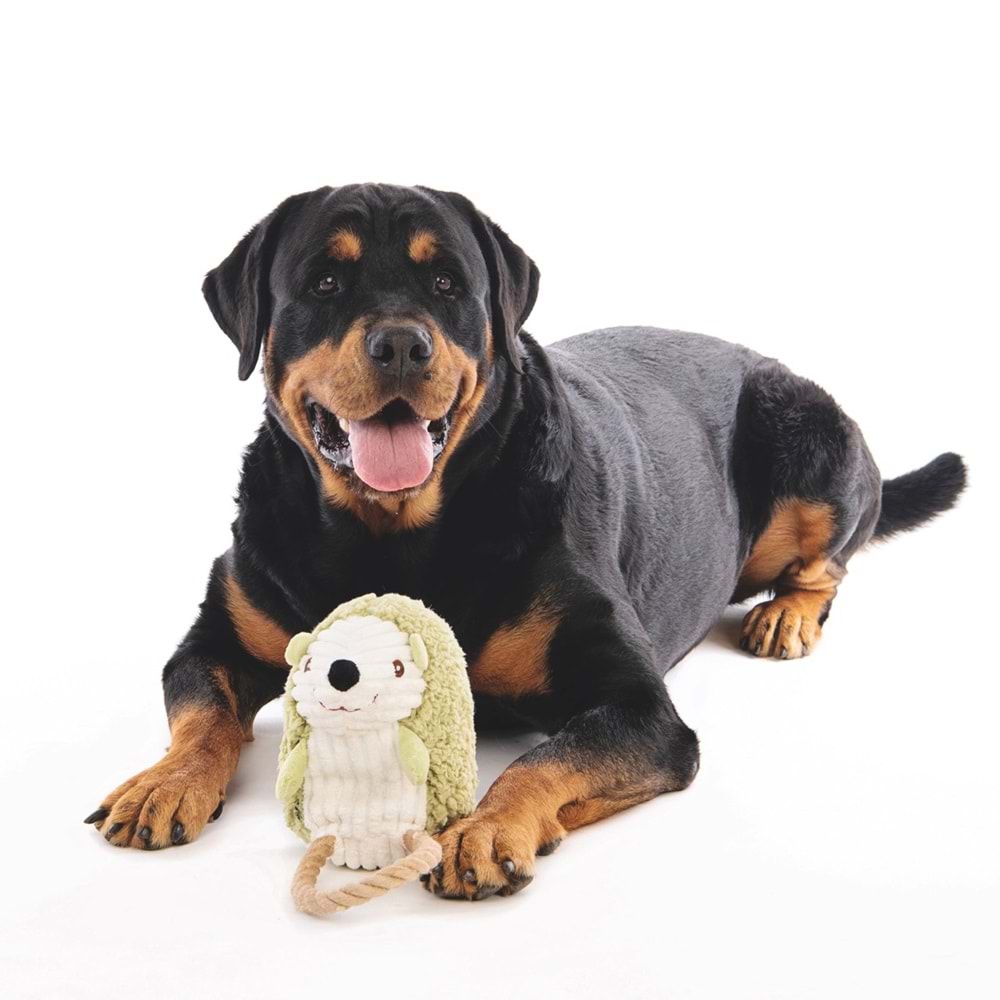 10640199 M-PETS LEIF KÖPEKLER İÇİN SEVİMLİ KİRPİ OYUNCAK