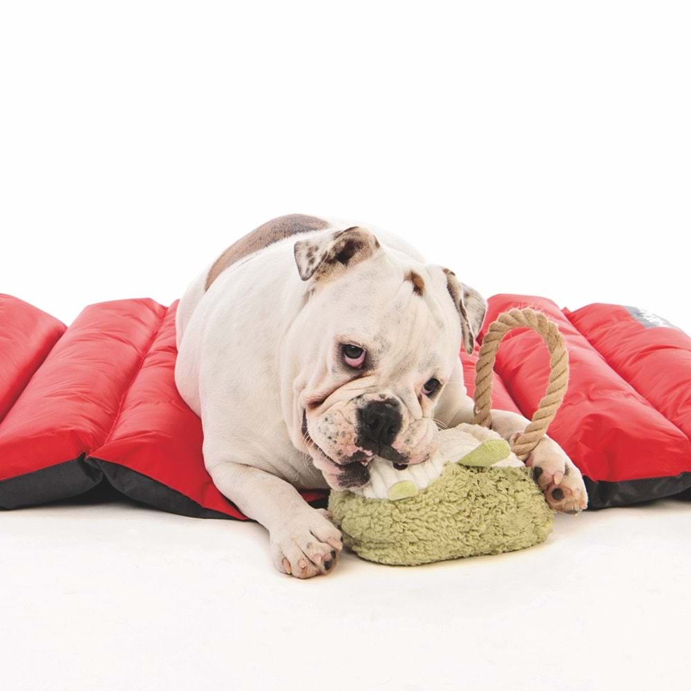 10640199 M-PETS LEIF KÖPEKLER İÇİN SEVİMLİ KİRPİ OYUNCAK