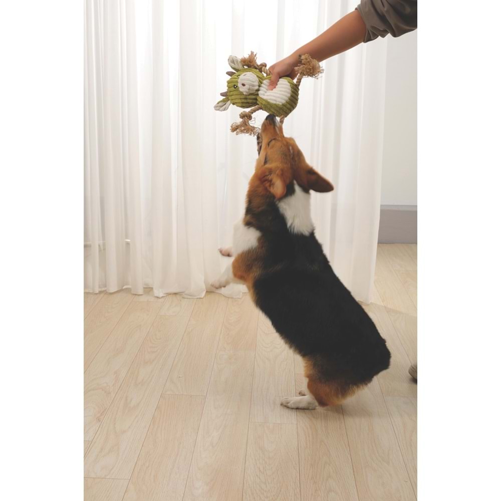 10642999 M-PETS ROSİE KÖPEK OYUNCAĞI