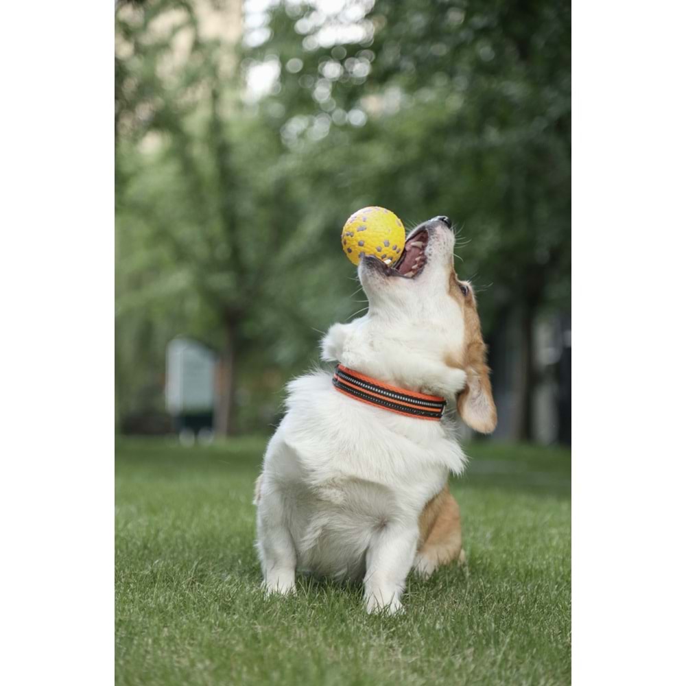 10643599 M-PETS BLOOM BALL OYUN TOPU PARÇALANMAZ YELLOW/GRAY