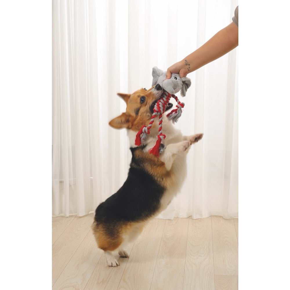10643799 M-PETS BAILEY KÖPEK OYUNCAĞI