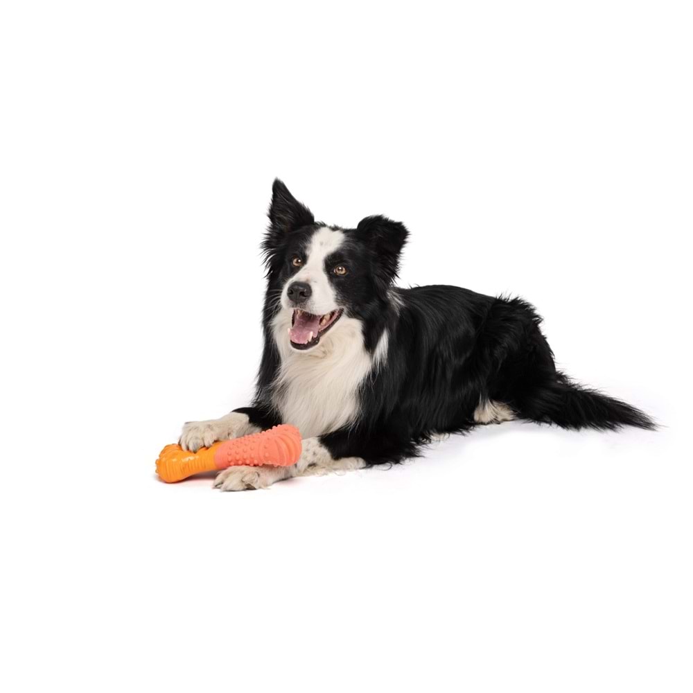 10645799 M-PETS VICE VERSA BONE ET AROMALI KÖPEK OYUNCAĞI
