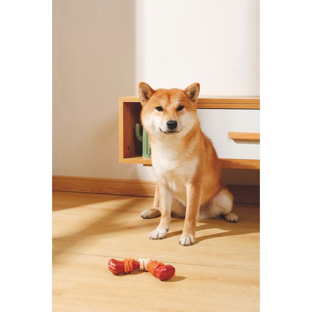 10650399 M-PETS CARNIVORE DOG TOY BOOMERANG BONE PASTIRMA AROMALI