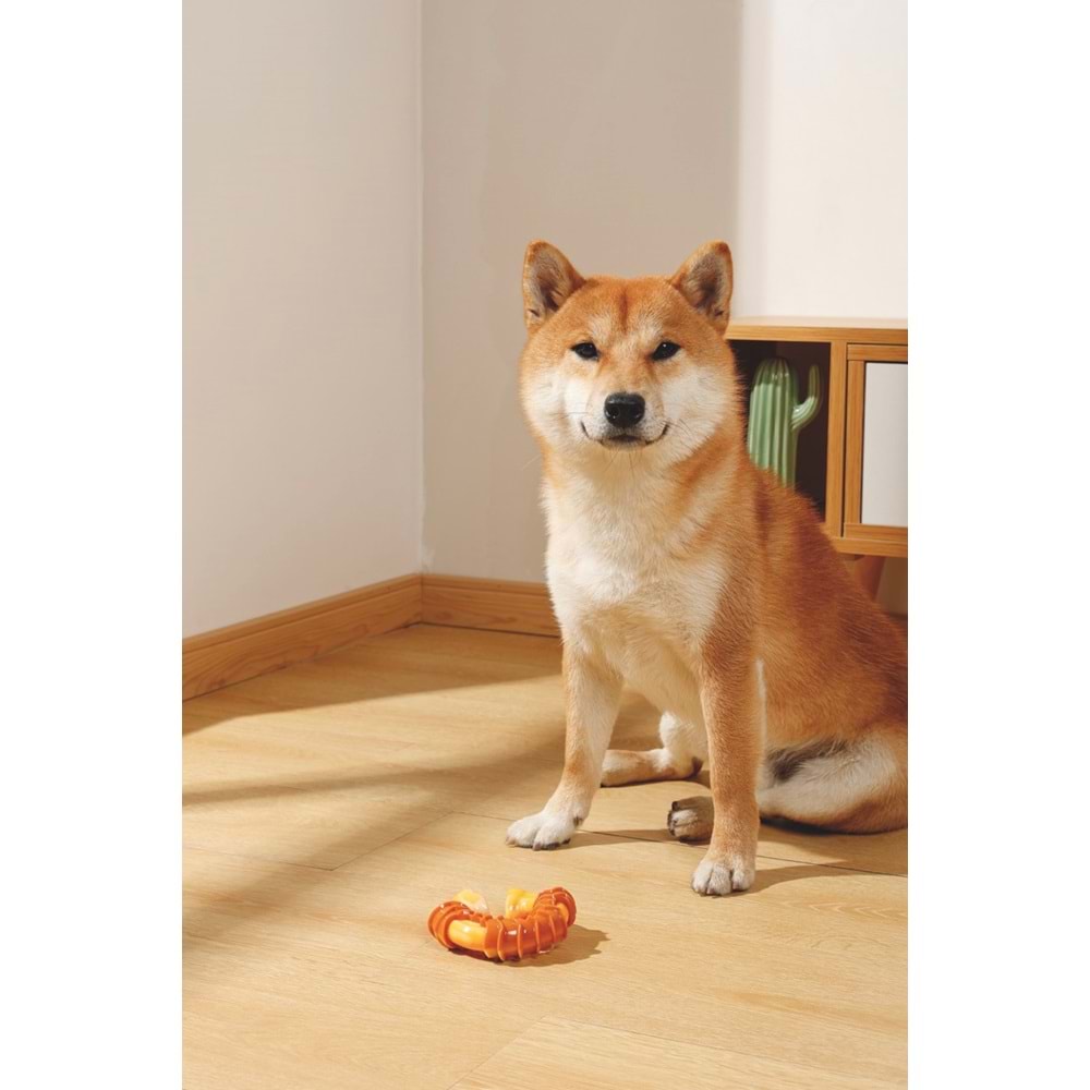 10650499 M-PETS CARNIVORE DOG TOY RING BONE PASTIRMA AROMALI