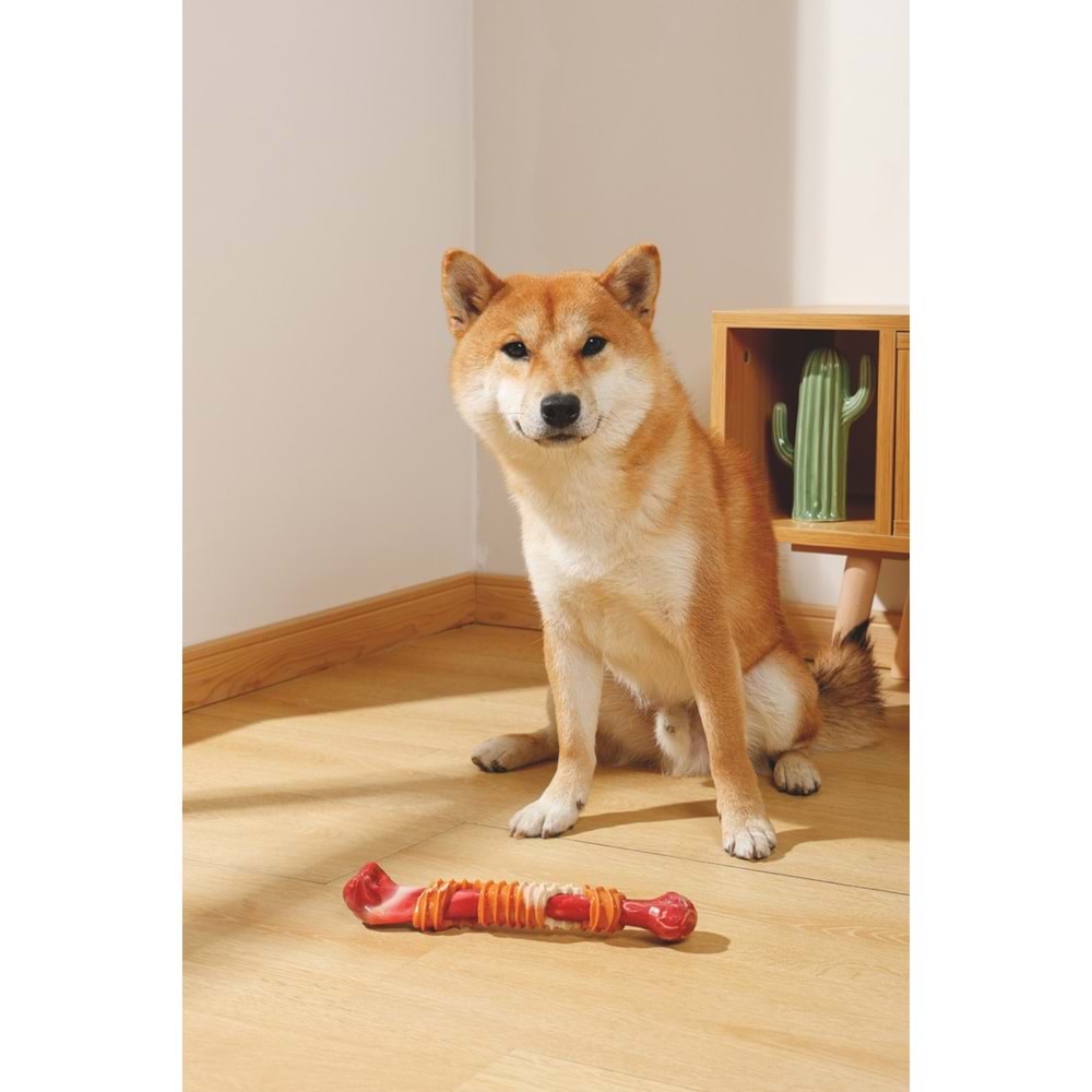 10650799 M-PETS CARNIVORE DOG TOY BOOMERANG BONE PASTIRMA AROMALI