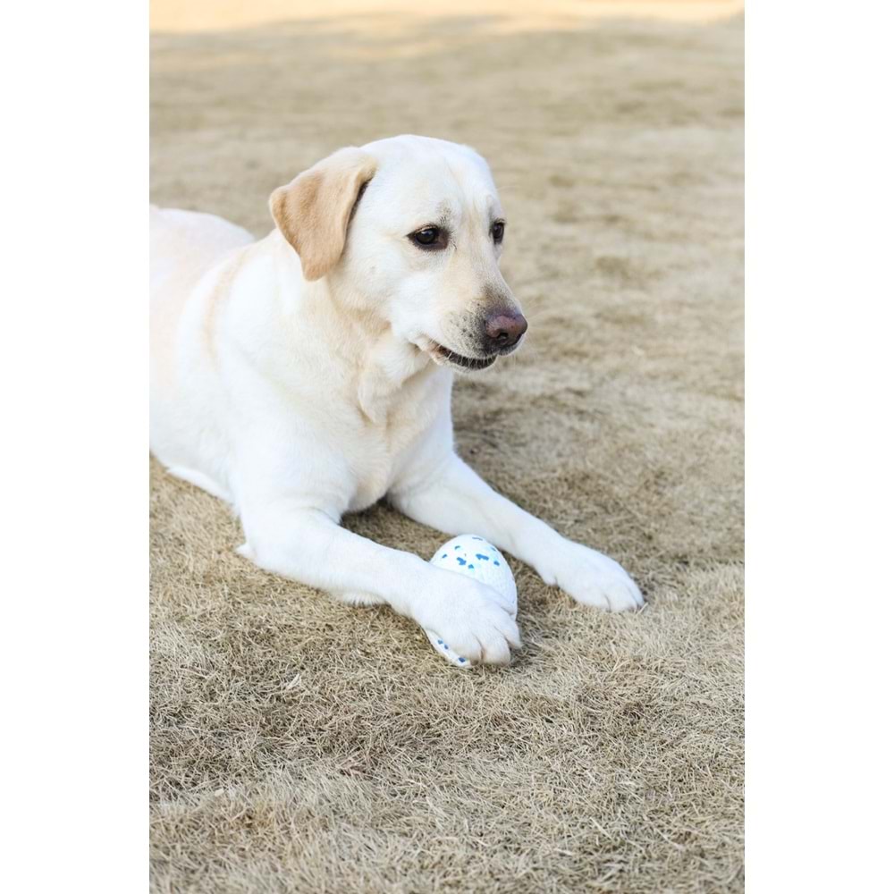 10650999 M-PETS BLOOM RUGBY PARÇALANMAZ RUGBY TOPU WHİTE/BLUE