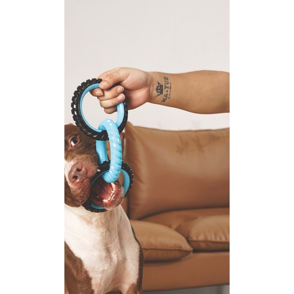10660099 M-PETS RING KING KÖPEK OYUNCAĞI TRİPLE BLUE/BLACK