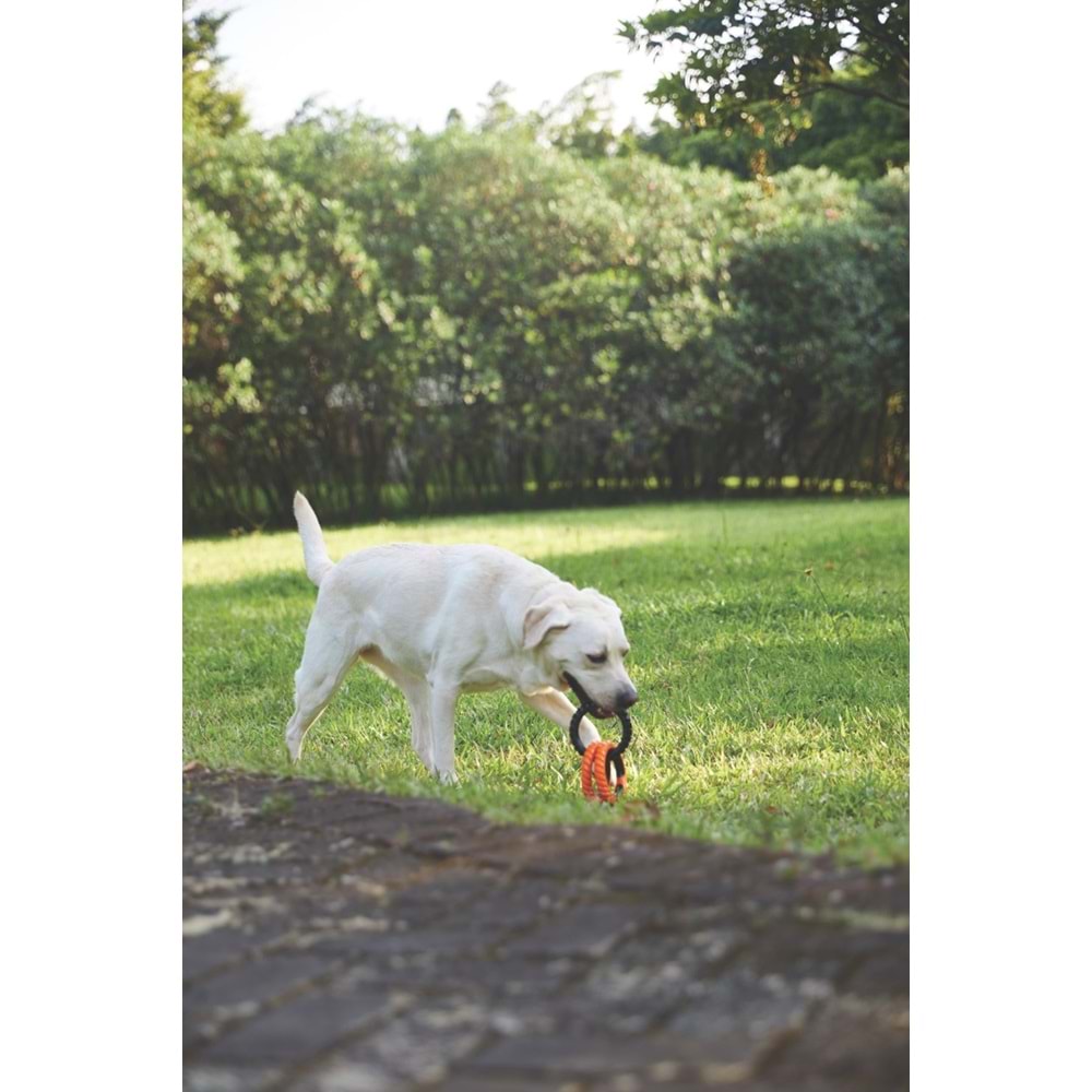 10660199 M-PETS RING KING KÖPEK OYUNCAĞI TRIPLE ORANGE/BLACK