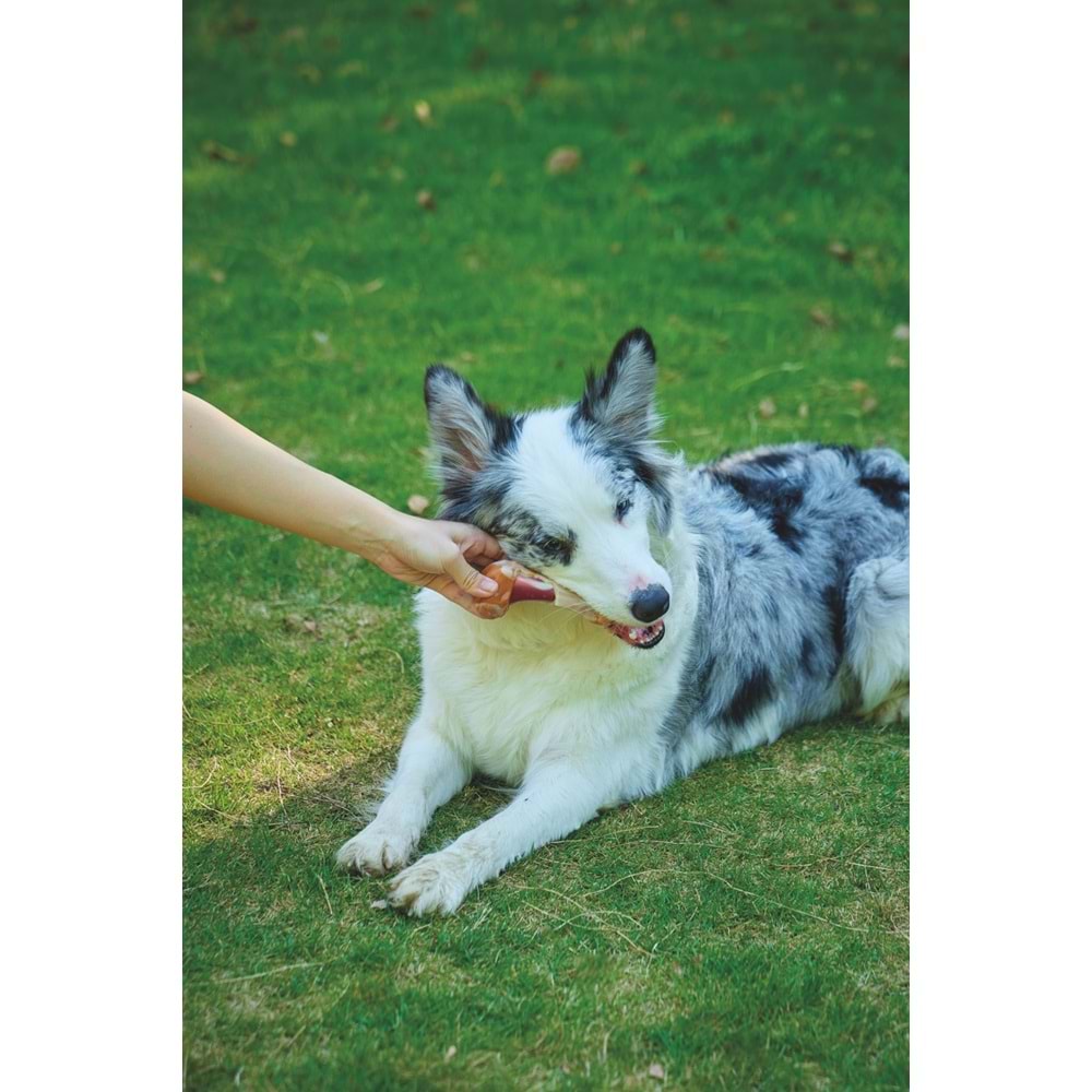 10661699 M-PETS CARNIVORE DOG TOY SAVOURY BONE PASTIRMA AROMALI