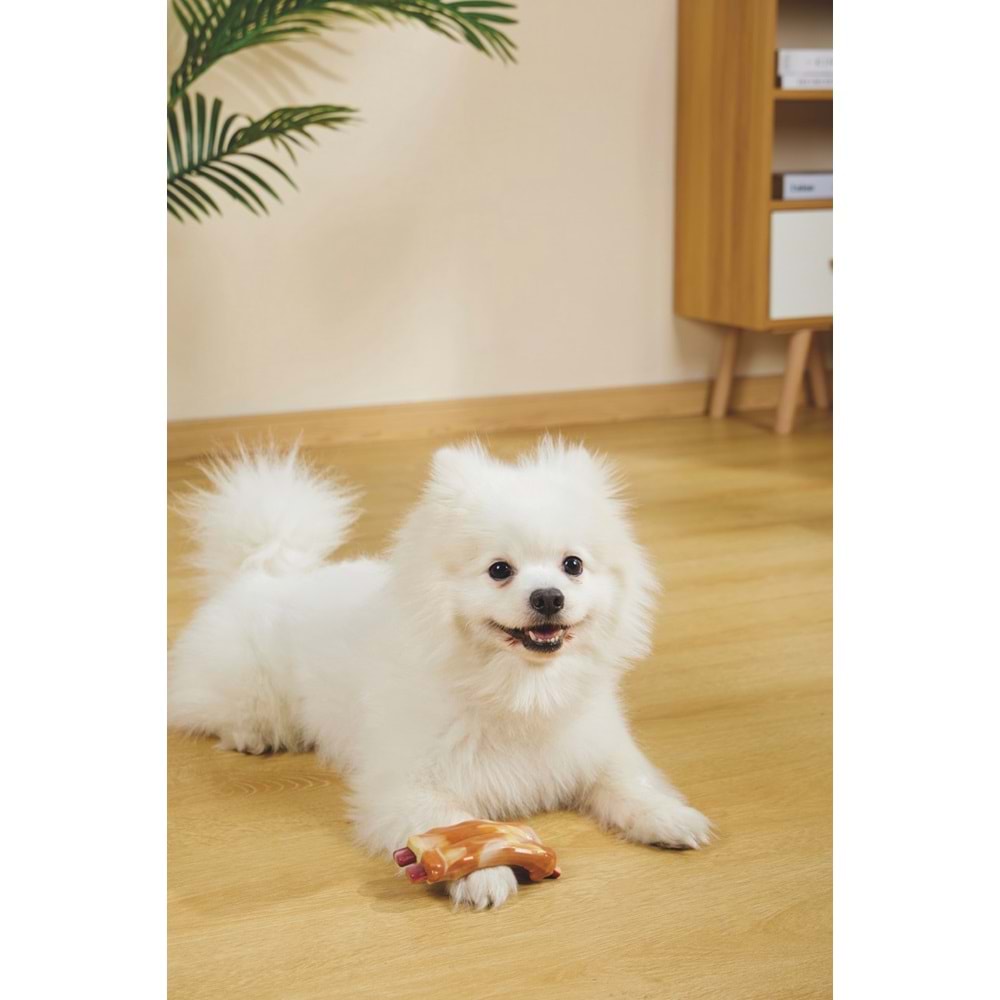 10661799 M-PETS CARNIVORE DOG TOY SPARE RIBS PASTIRMA AROMALI