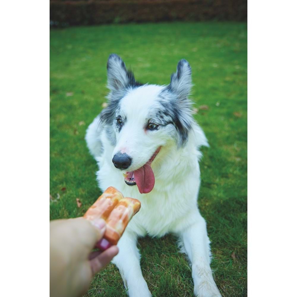 10661799 M-PETS CARNIVORE DOG TOY SPARE RIBS PASTIRMA AROMALI