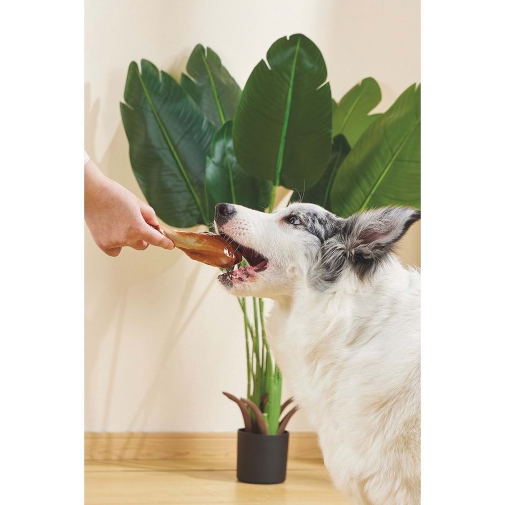 10661899 M-PETS CARNIVORE DOG TOY DRUMSTICK PASTIRMA AROMALI