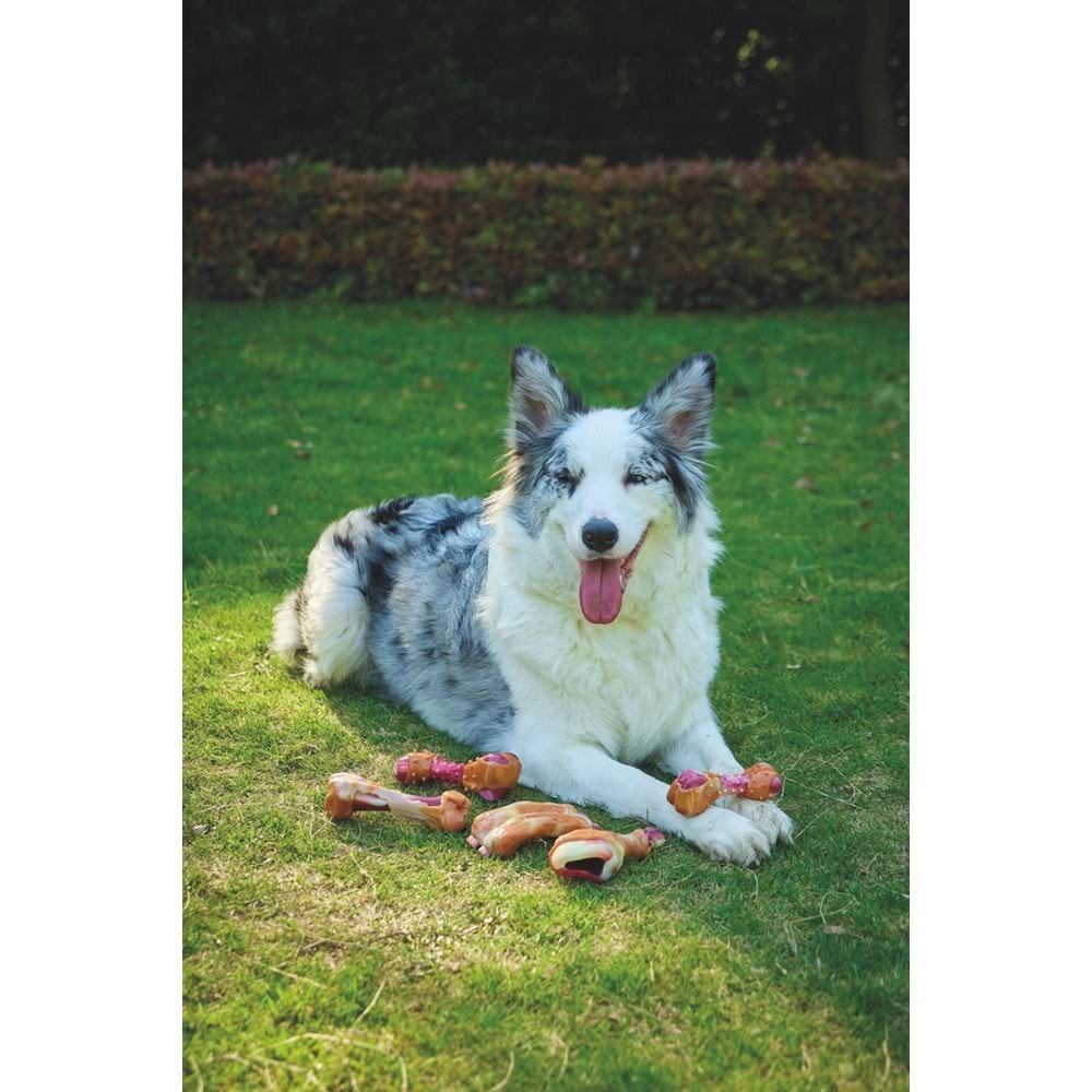 10661899 M-PETS CARNIVORE DOG TOY DRUMSTICK PASTIRMA AROMALI