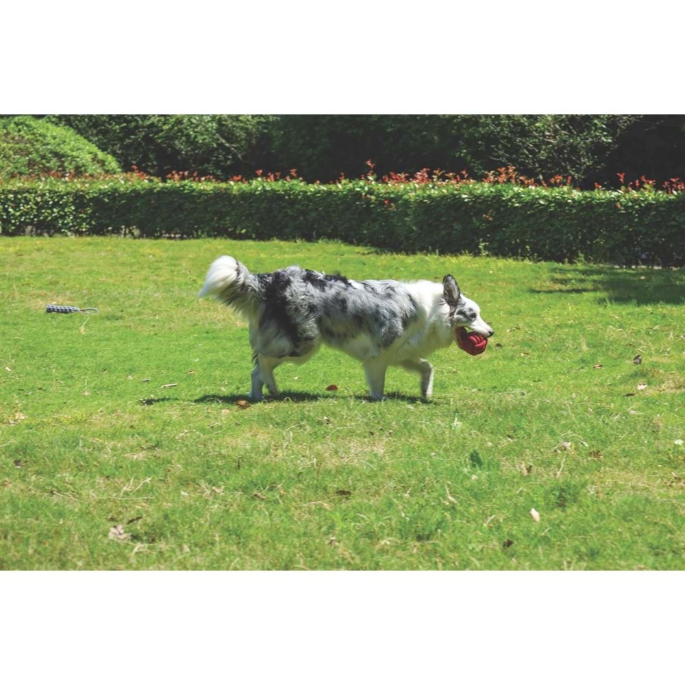 10662605 M-PETS COTO RED BALL 9,5CM ÖRGÜ TOP OYUNCAK