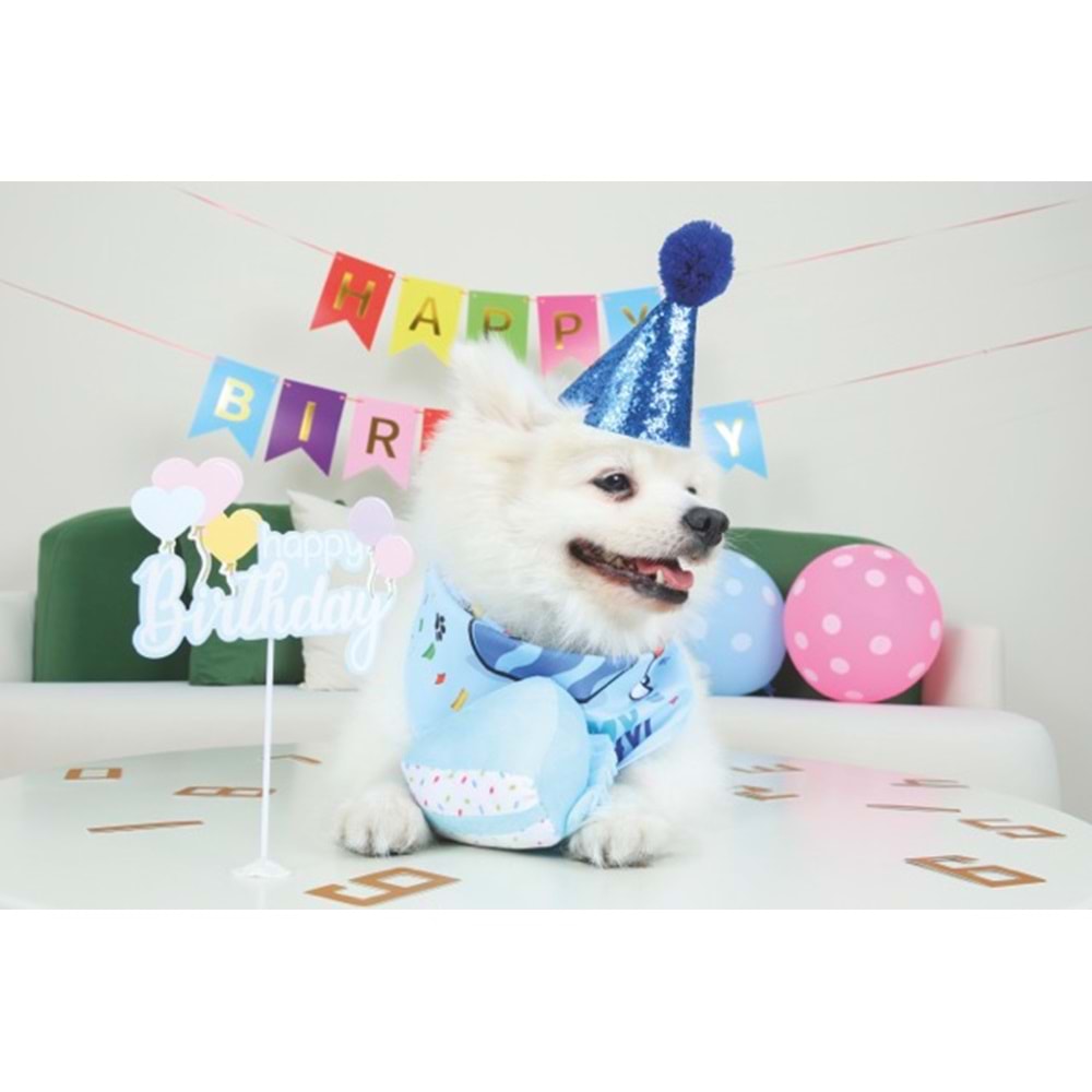 10667399 M-PETS PARTY TIME ERKEK KÖPEKLER İÇİN DOĞUM GÜNÜ SETİ