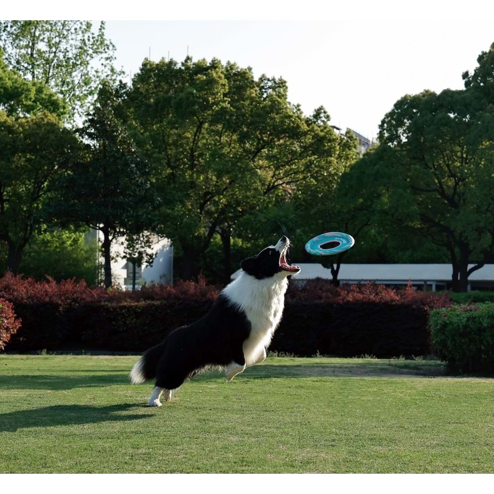 10671999 M-PETS SPRINTPUFF FRISBEE KÖPEK OYUNCAĞI PİNK/GREEN