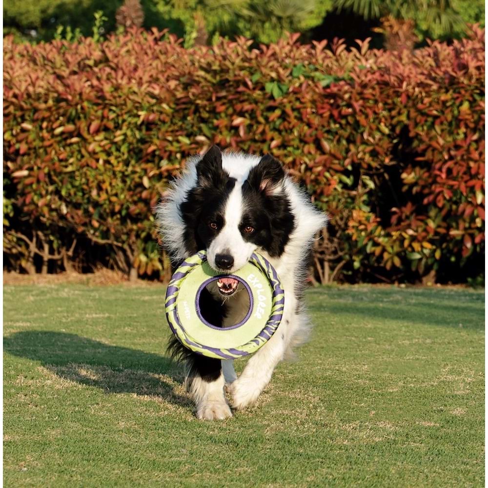 10672199 M-PETS SPRINTPUFF FRISBEE KÖPEK OYUNCAĞI GREEN/PURPLE