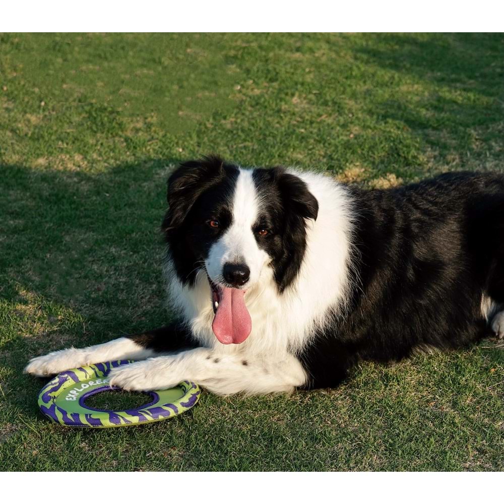 10672199 M-PETS SPRINTPUFF FRISBEE KÖPEK OYUNCAĞI GREEN/PURPLE