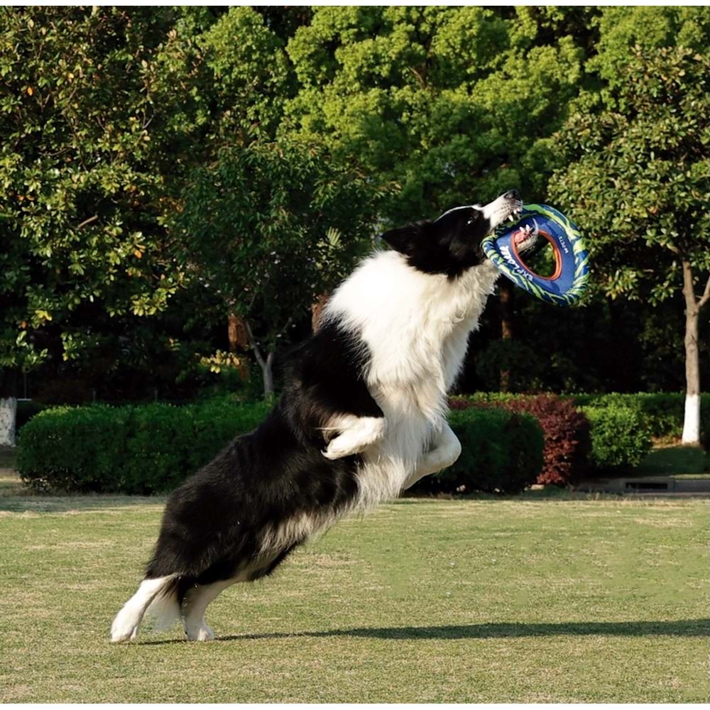 10672299 M-PETS SPRINTPUFF FRISBEE KÖPEK OYUNCAĞI BLUE/GREEN