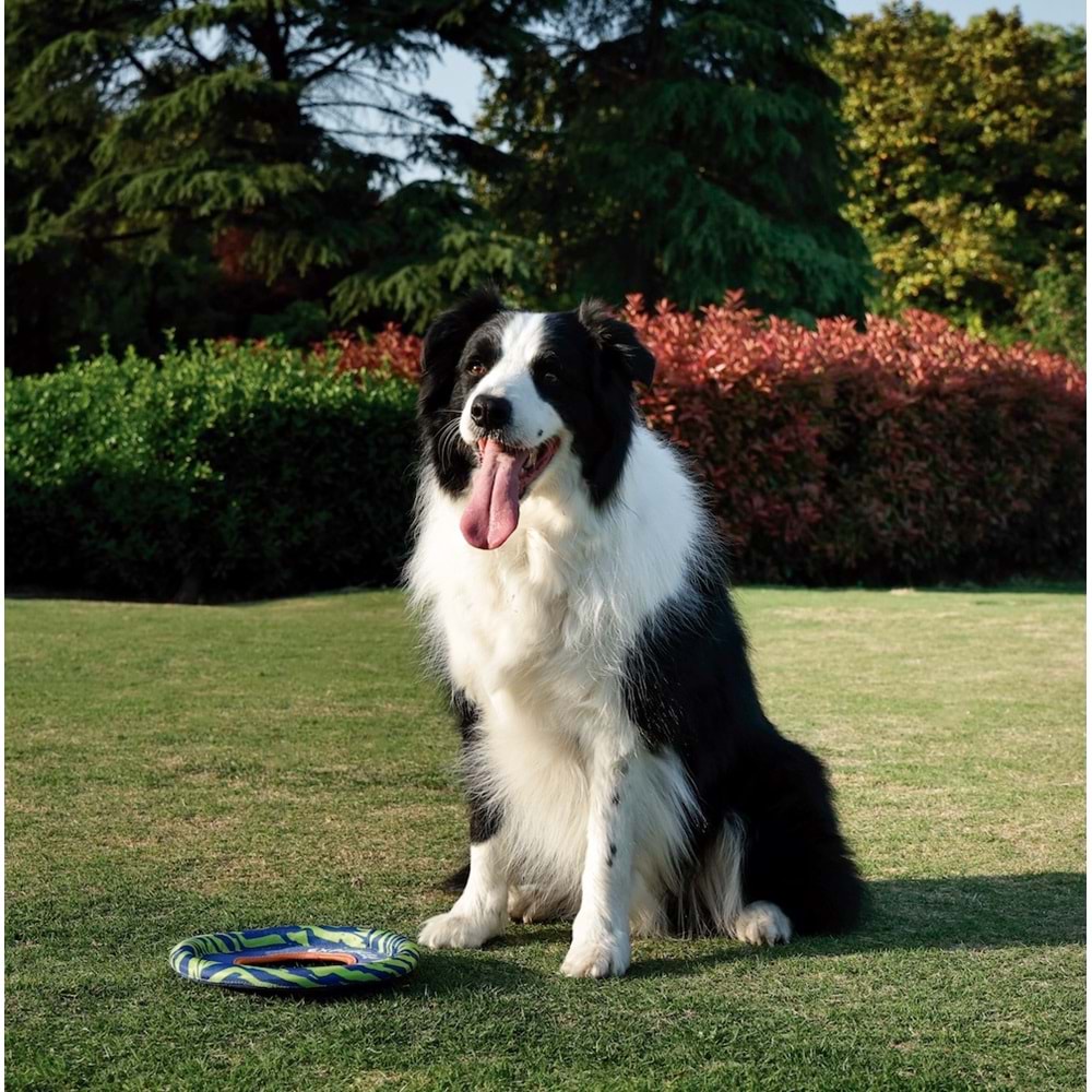 10672299 M-PETS SPRINTPUFF FRISBEE KÖPEK OYUNCAĞI BLUE/GREEN