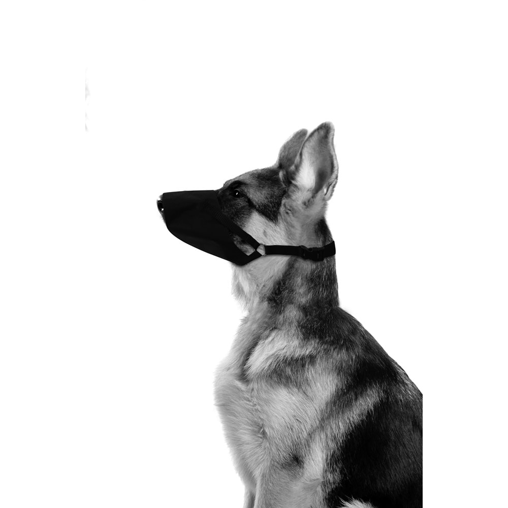 10812099 M-PETS FLEXI BEZ AĞIZLIK (XS)