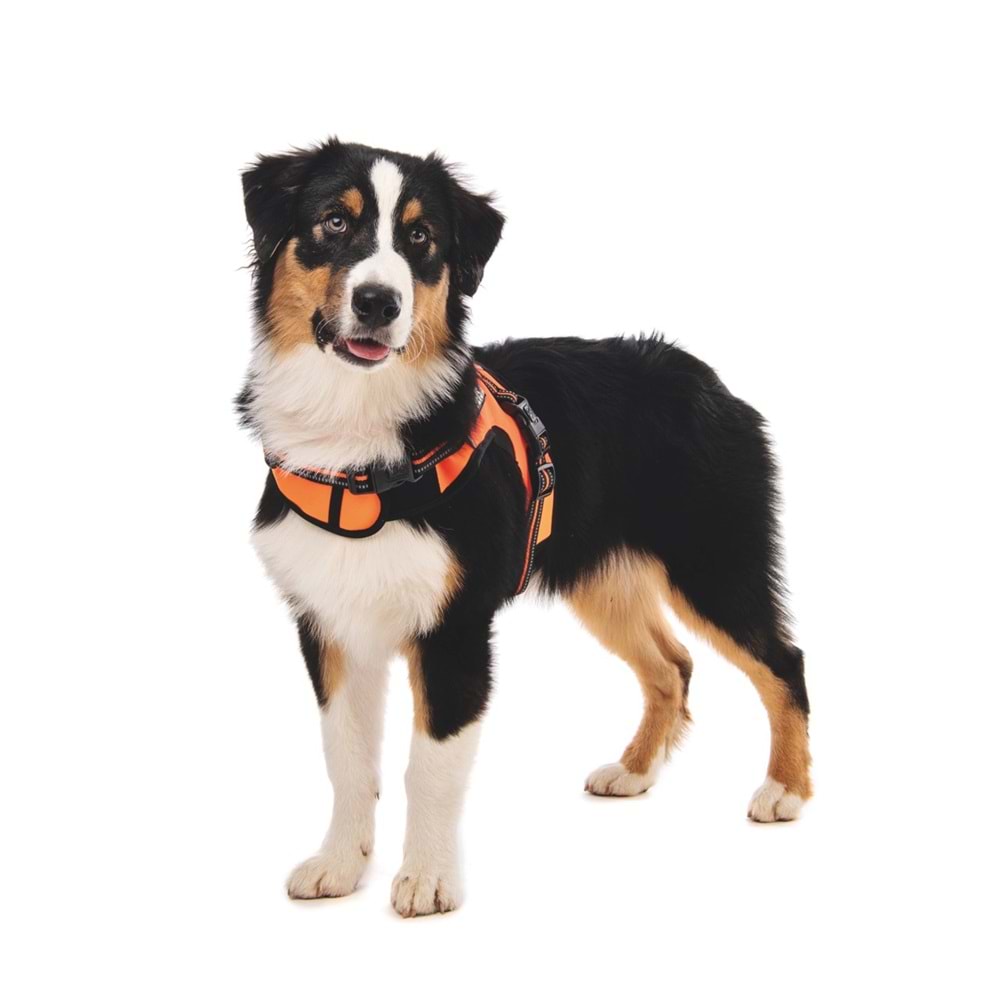 10818299 M-PETS HIKING REFLEKTÖRLÜ SOFT SIRT TASMASI ORANGE (L)