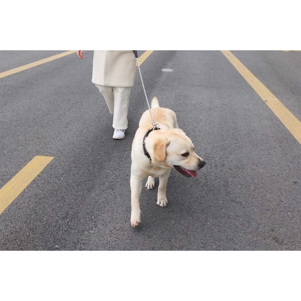 10830799 M-PETS GIANT ZİNCİR GEZDİRME SOFT TUTMALI 5MM/75CM