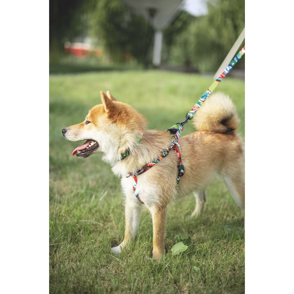 10834899 M-PETS URBAN STYLE FREESTYLE GEZDİRME (L)