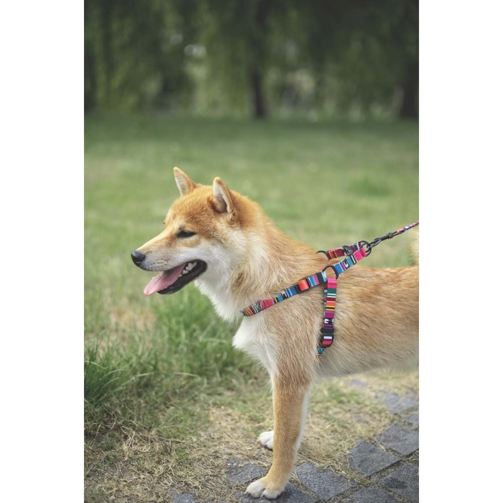 10836399 M-PETS URBAN STYLE JAZZ STRIPES GÖĞÜS TASMASI (M)