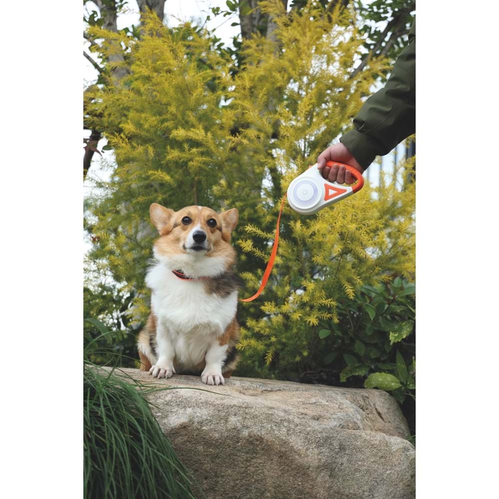 10839399 M-PETS FLASH LEDLİ OTOMATİK GEZDİRME ŞERİT 3MT/ORANGE