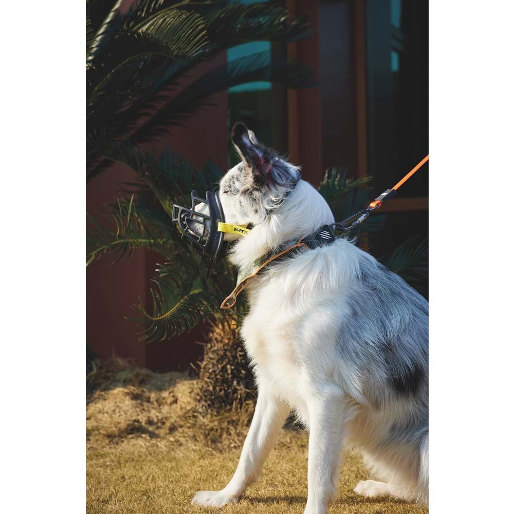 10845599 M-PETS BARK GUARD AĞIZLIK (L) BLACK/YELLOW