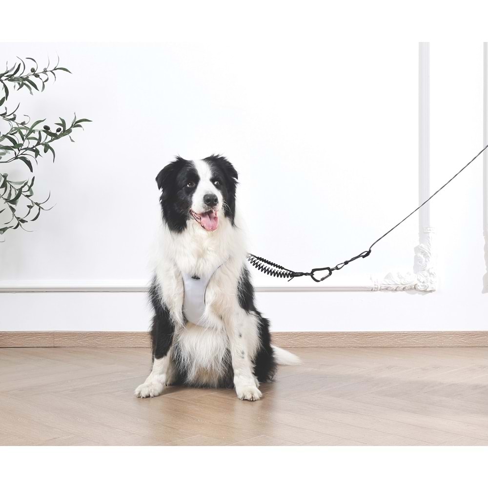 10852699 M-PETS ORIGAMI REFLEKTÖRLÜ SIRT TASMASI BLUE (L)