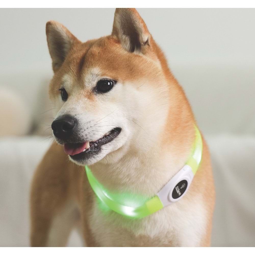 10855599 M-PETS FLASH LED BOYUN TASMA GREEN (M)