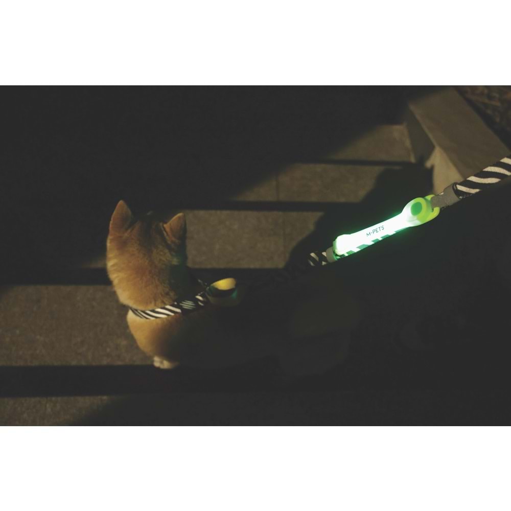 10855999 M-PETS FLASH LED BAND GREEN