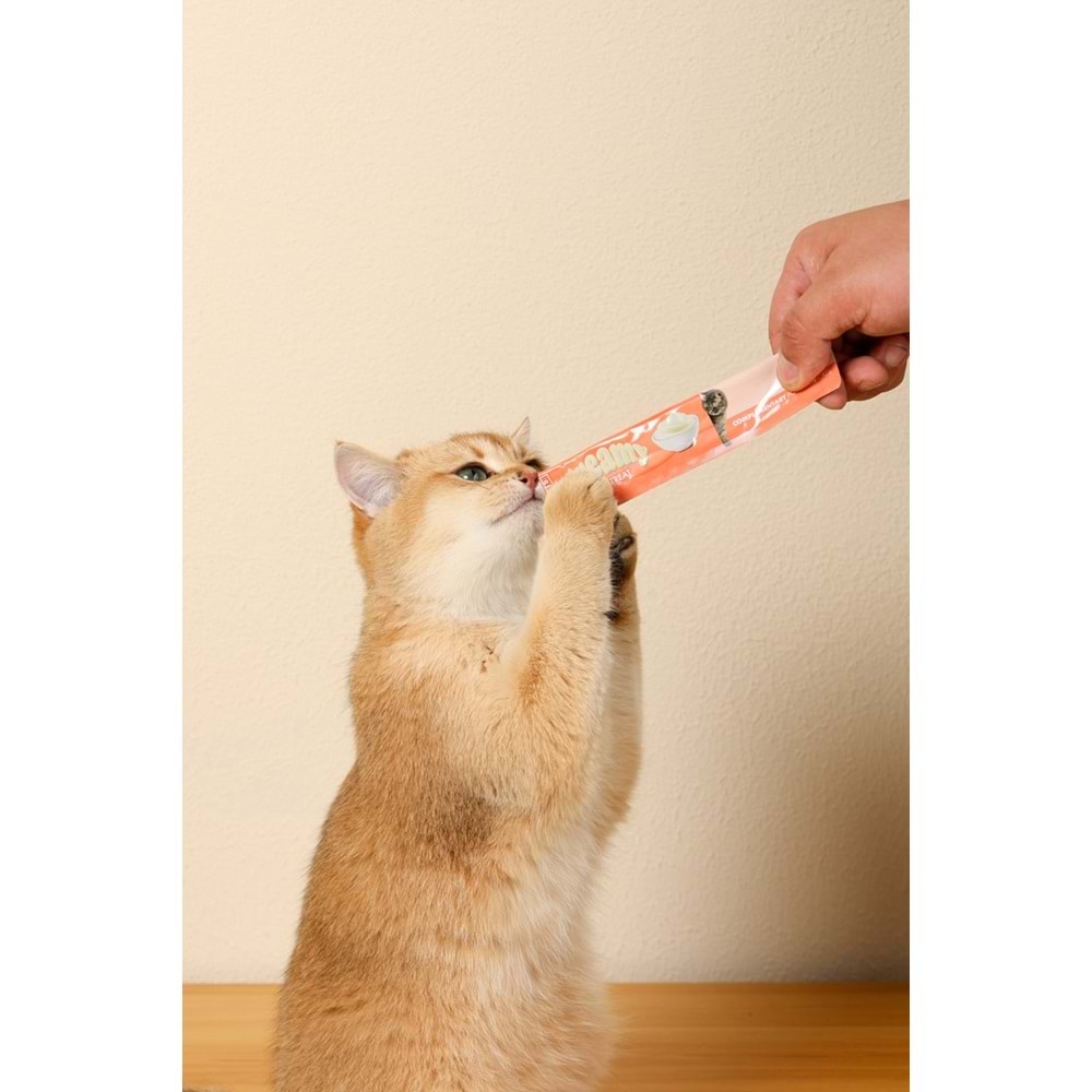 19038699 M-PETS CREAMY SOMON BALIKLI KEDİ ÖDÜLÜ 4X15GR