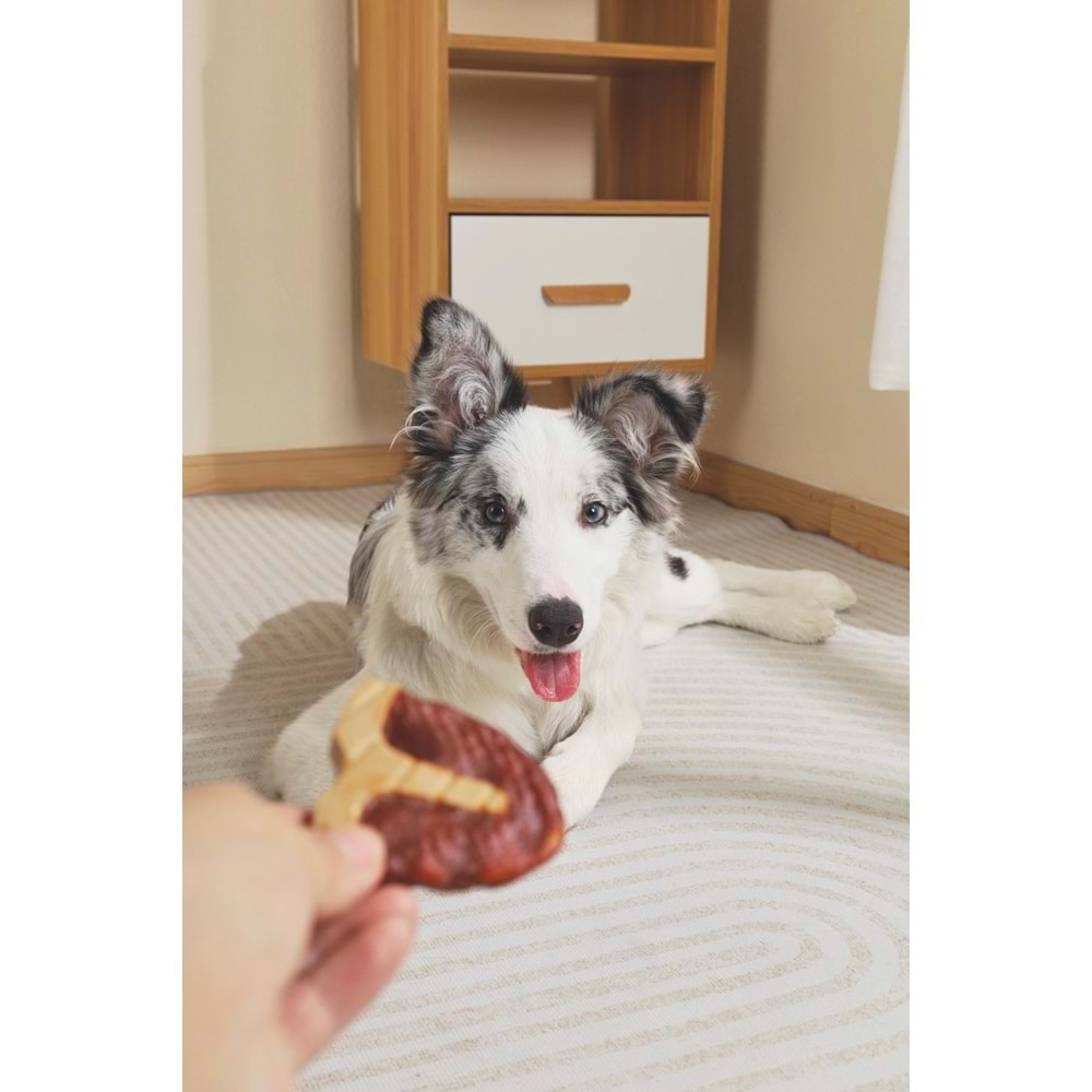 19040999-M-PETS BBQ KINGS T-BONE STEAKS CHICKEN ÖDÜL 105GR