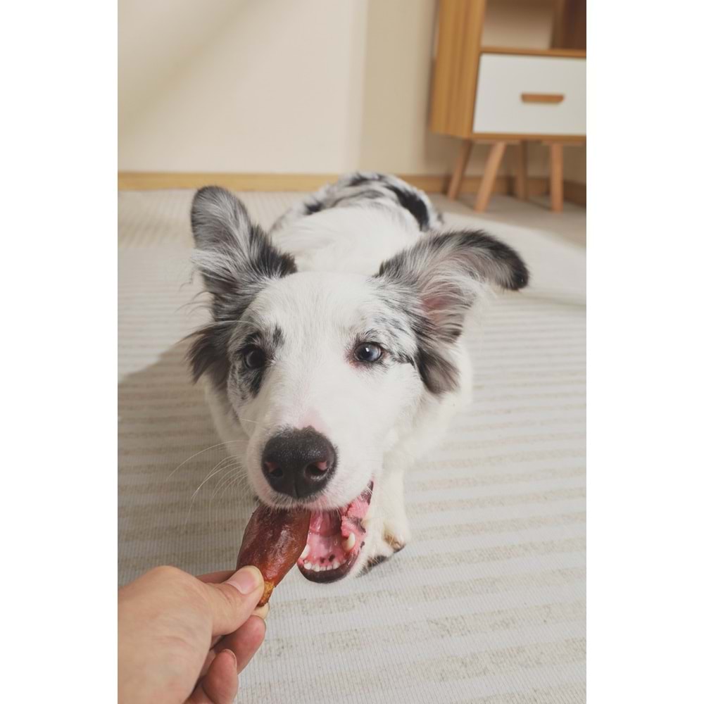 19041599-M-PETS BBQ KINGS RIB BITES CHICKEN ÖDÜL 115GR