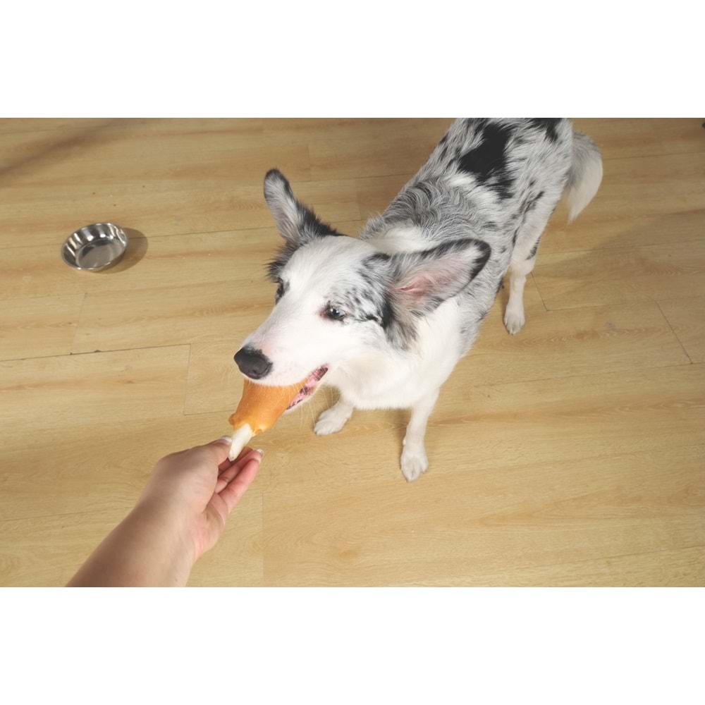 19044099 M-PETS BITE DELIGHT CHICKEN LEG 13CM KÖPEK ÖDÜLÜ 2KG
