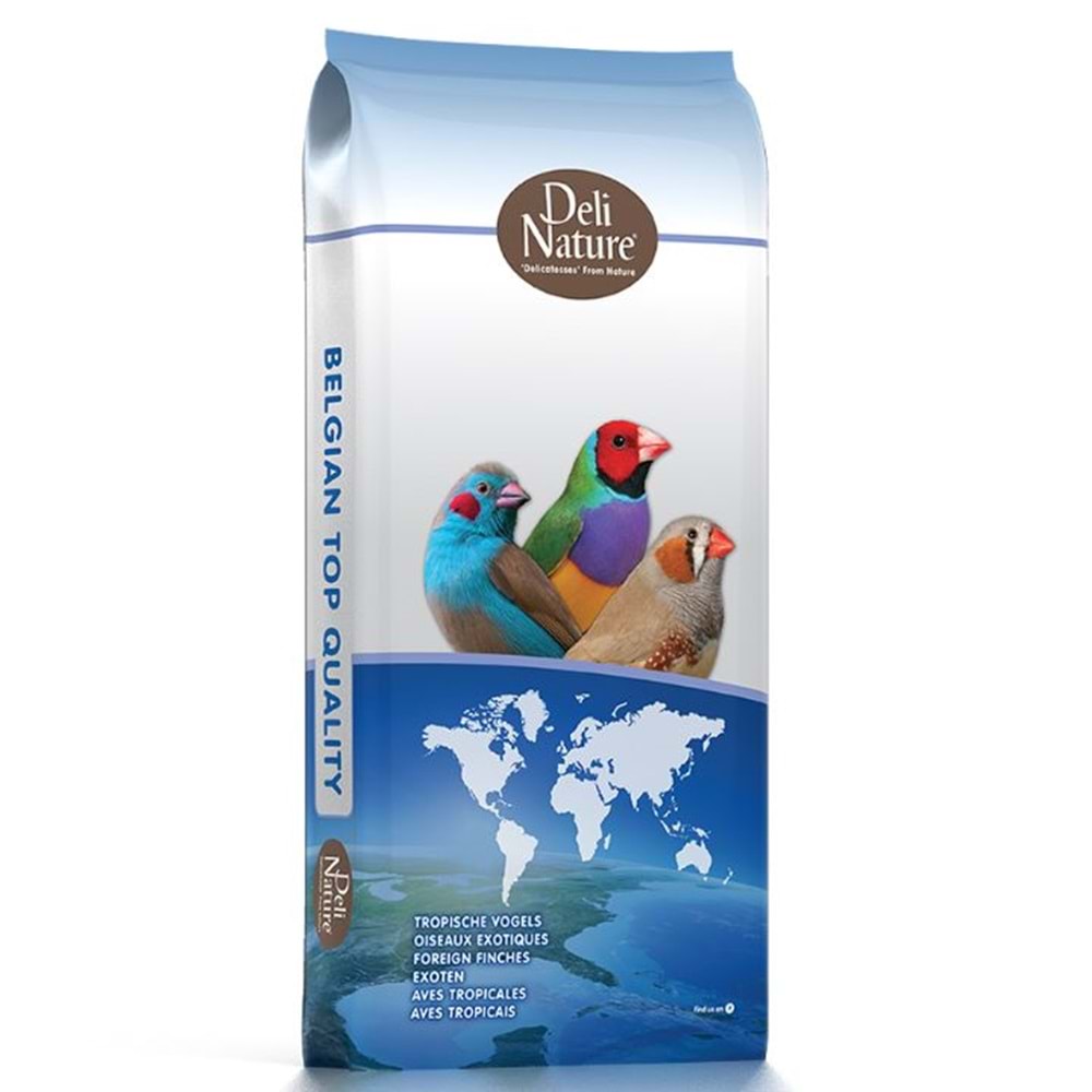 21292 DELİ NATURE 41 FOREIGN FINCHES ÜRETİM YEMİ 20KG